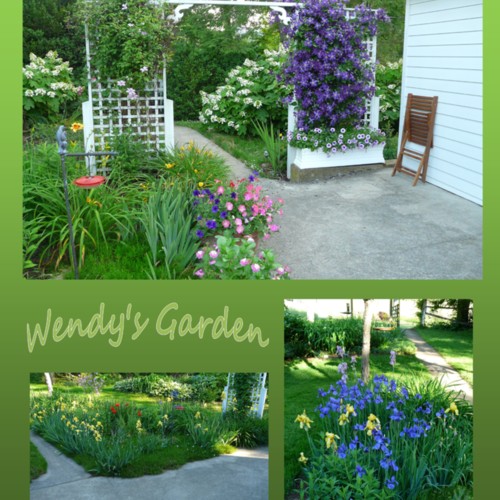 Wendy's Garden